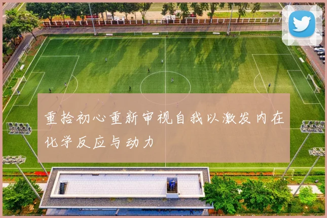重拾初心重新审视自我以激发内在化学反应与动力